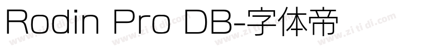 Rodin Pro DB字体转换